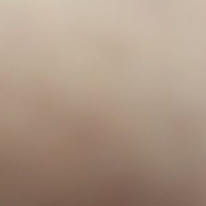 Meet your Posher, Abigail